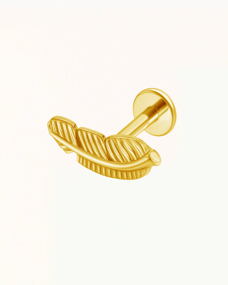 Titanium Veer Piercing - Asha